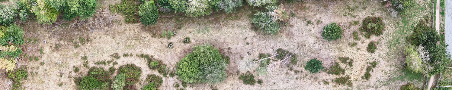 Broxbourne Wood Compartment 6 high-resolution panoramic orthomosaic banner view
