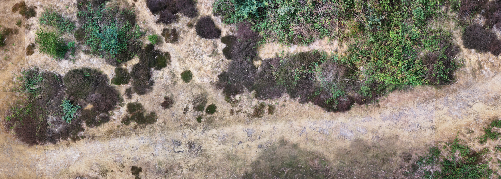 Lowland heathland orthomosaic