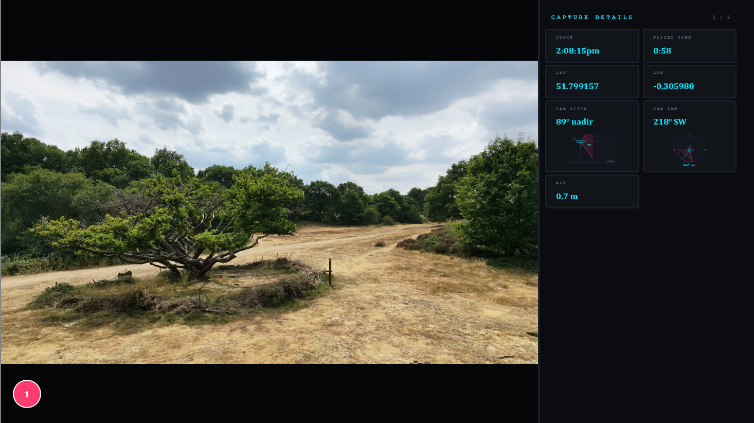 Automatically generated report slide for environmental reporting