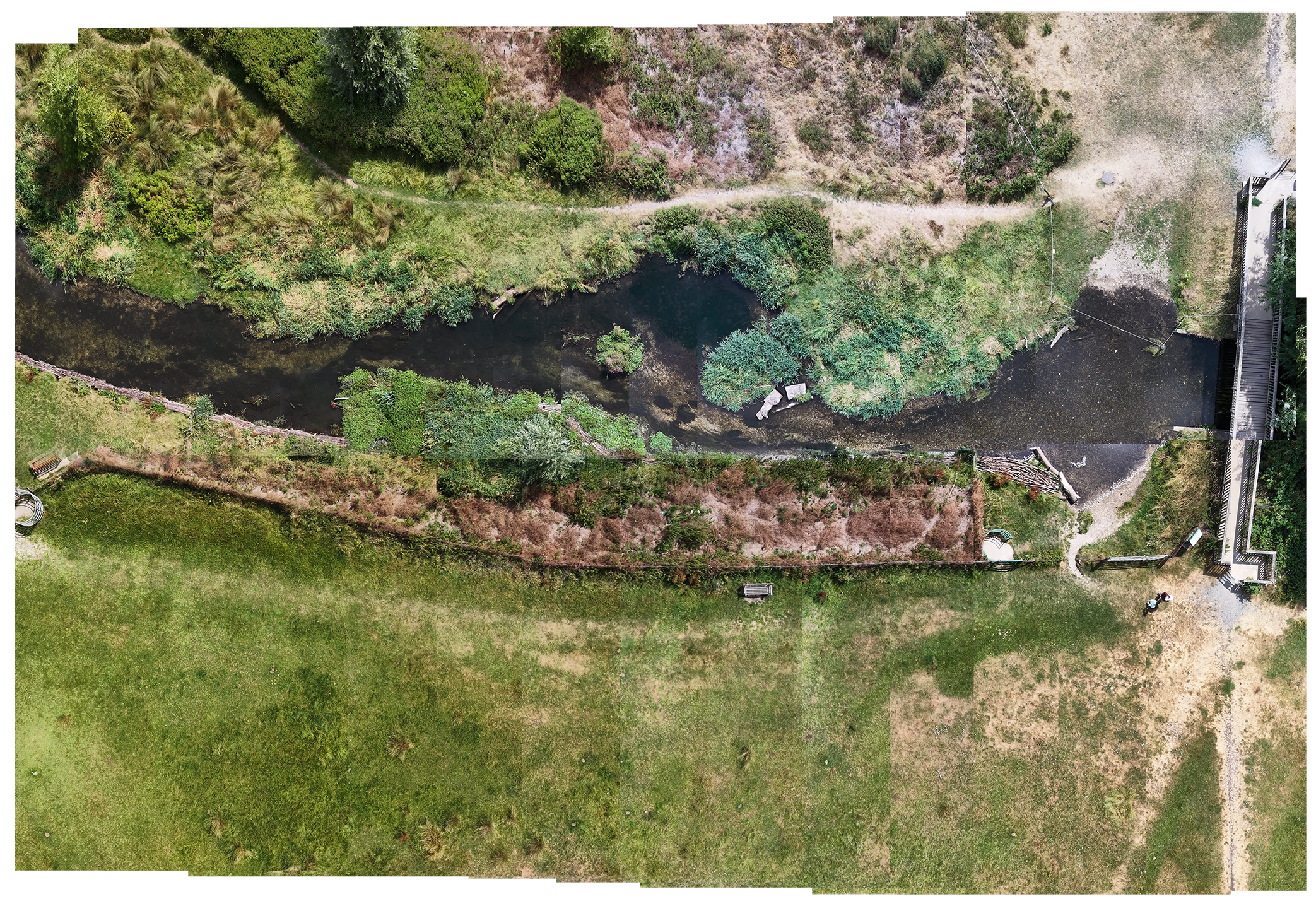 River and riparian corridor orthomosaic